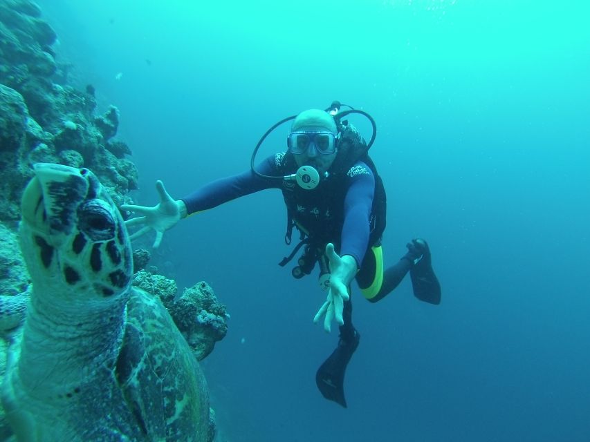 Sharm El Sheikh: Ras Mohamed & White Island Snorkel or Dive - Key Points That Matter