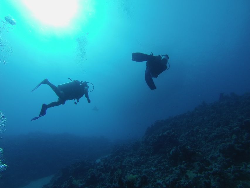 Sharm El Sheikh: Ras Mohamed & White Island Snorkel or Dive - What to Bring (So You Don’t Lose Time on Small Stuff)