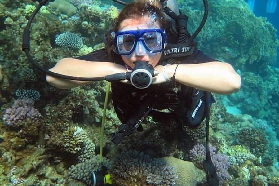 Sharm El Sheikh: Ras Mohamed & White Island Snorkel or Dive - Why Ras Mohamed and White Island Works So Well for Most People