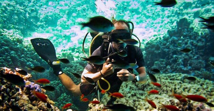 Sharm El Sheikh: Ras Mohamed & White Island Snorkel or Dive - The On-Board Briefing: This Is Where You Feel Safe