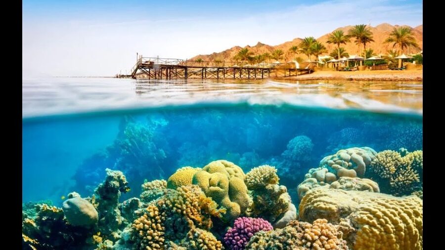 Sharm El-Sheikh: Ras Mohamed & White Island Snorkeling Trip - Lunch on Deck: Barbecue Comfort, Plus What Drinks Really Mean