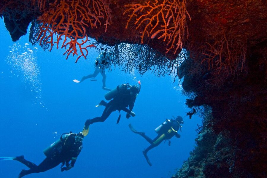 Sharm El-Sheikh: Ras Mohamed & White Island Snorkeling Trip - Value for Money: Why $25 Works, and What Might Cost Extra