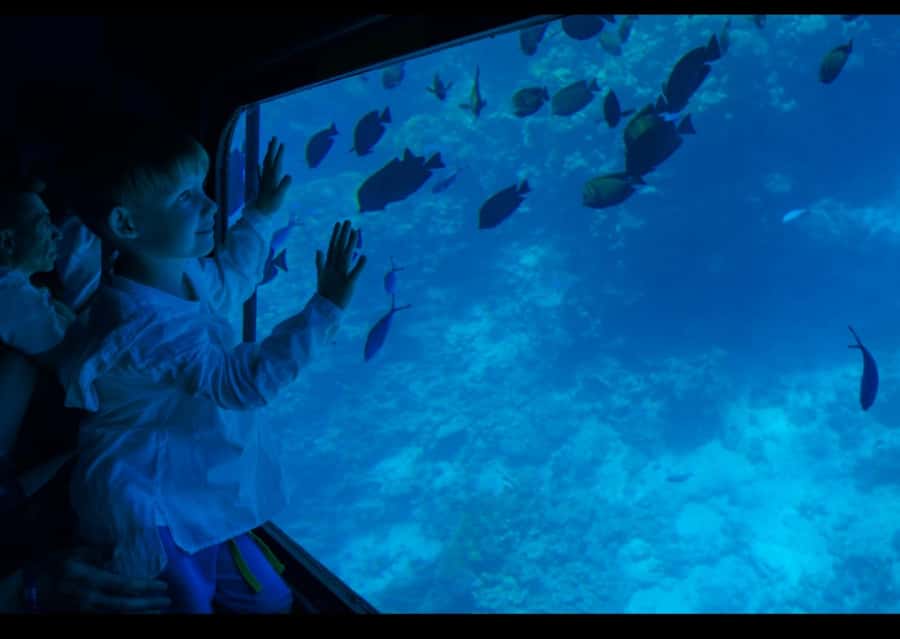 Sharm El-Sheikh: Royal Seascope Submarine Cruise with Pickup - Pickup, coach ride, and the marina countdown
