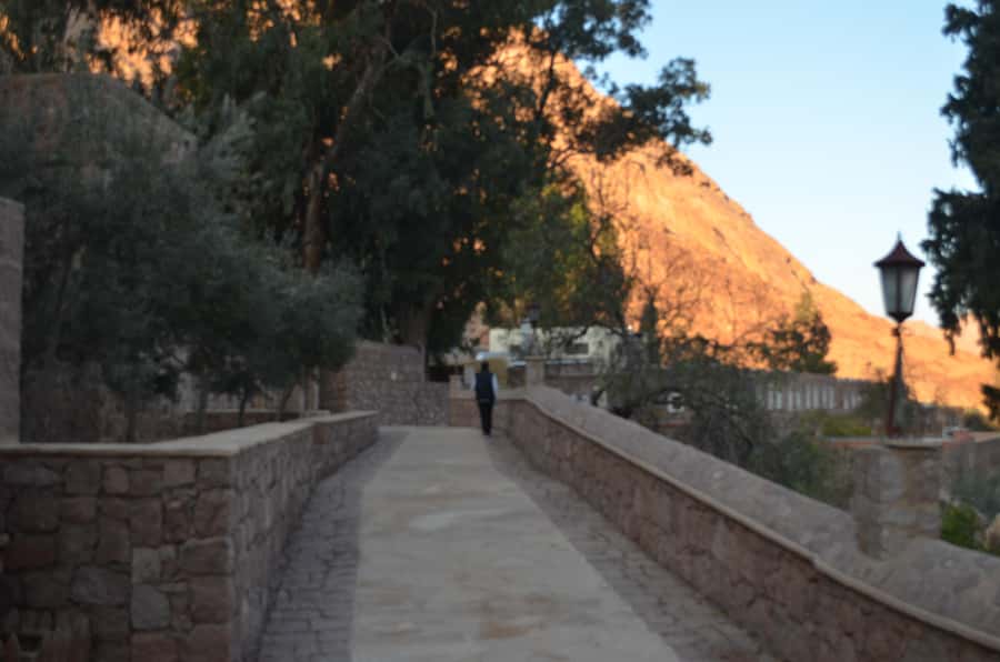 Sharm El Sheikh: Saint Catherine's Monastery Private Tour - The Monastery Library and Manuscripts: What You Need to Know About Extra Fees
