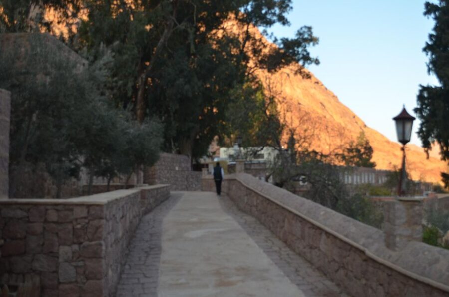 Sharm El Sheikh: Saint Catherine's Monastery Private Tour - Language Options and Guide Style: Italian, English, Russian