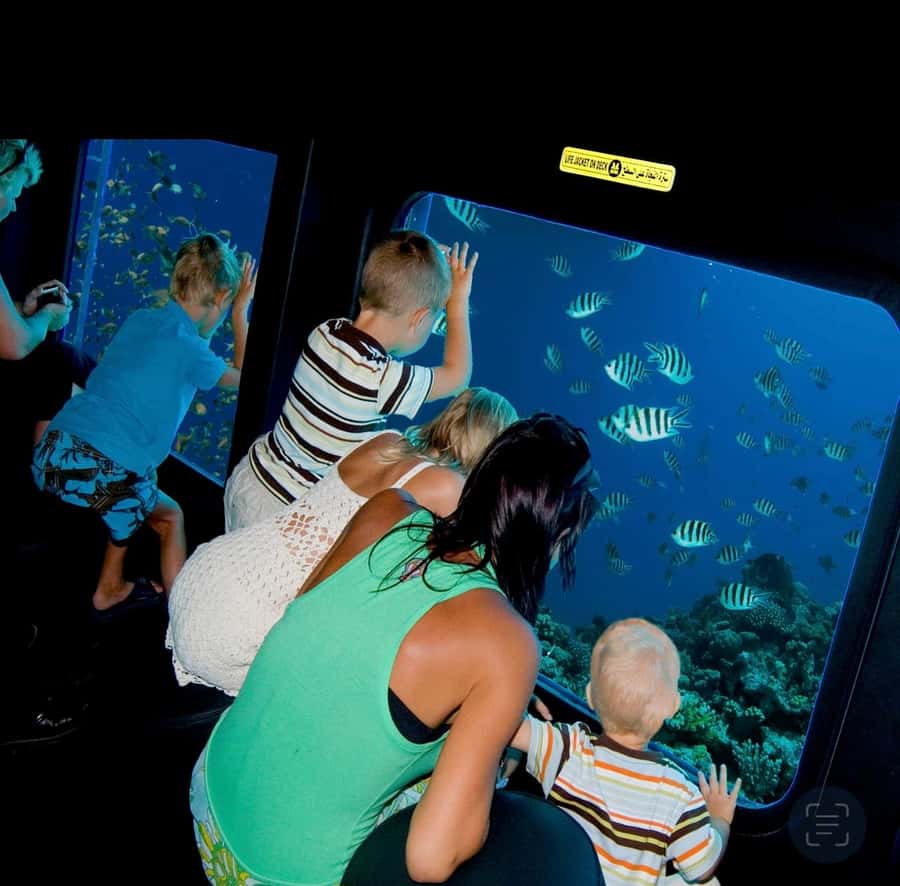 Sharm El-Sheikh: Seascope Submarine boat cruise with pickup - The Best Seats and What to Watch Through the Glass
