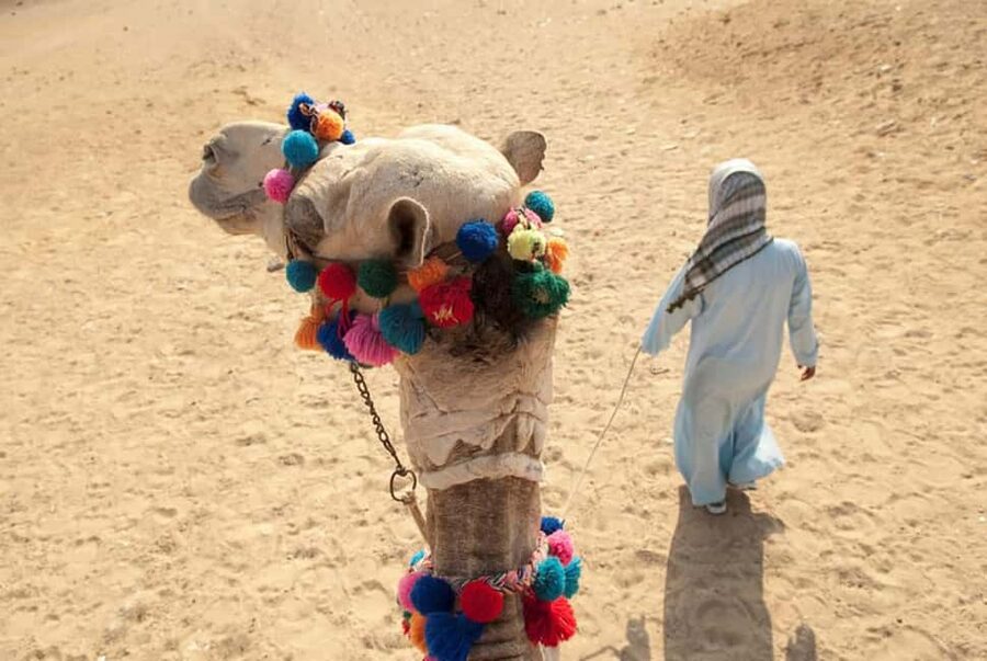 Sharm El-Sheikh: Ultimate ATV Quad, Stargazing & BBQ Dinner - Weight Limits and Quad Setup: How to Avoid Last-Minute Fees