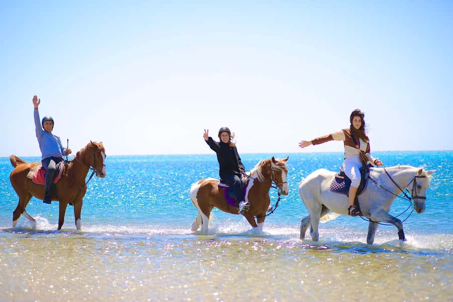 Sharm El Shiekh: Beach and City Desert Horse Riding Tour - Key highlights you should know before you go
