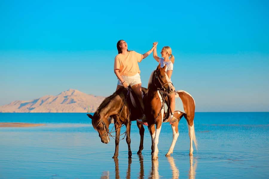 Sharm El Shiekh: Beach and City Desert Horse Riding Tour - Best fit: who this Sharm horse ride is perfect for