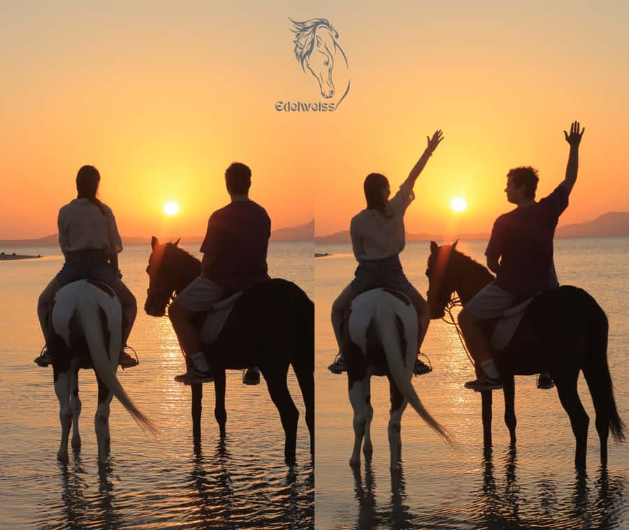 Sharm El Shiekh: Beach and City Desert Horse Riding Tour - A Two-Hour Horse Ride Where the Red Sea Gets Involved