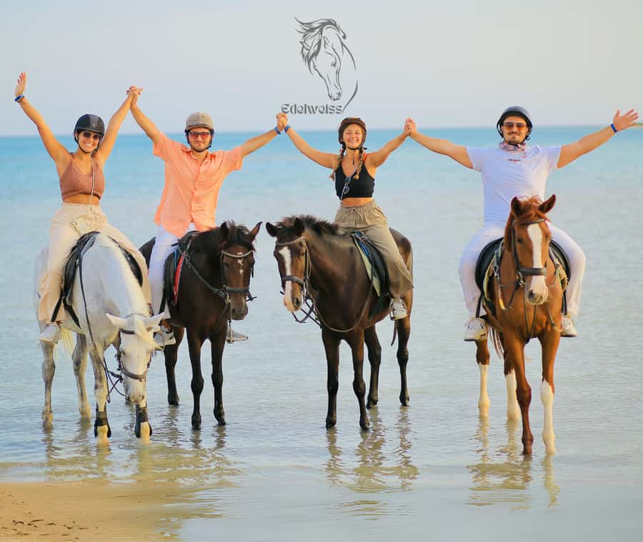 Sharm El Shiekh: Beach and City Desert Horse Riding Tour - Choosing sunrise, morning, or sunset in Sharm