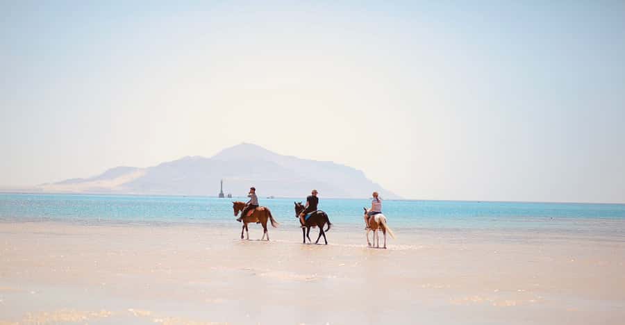 Sharm El Shiekh: Beach and City Desert Horse Riding Tour - How the riding works, from nervous first-timers to cantering on the shore