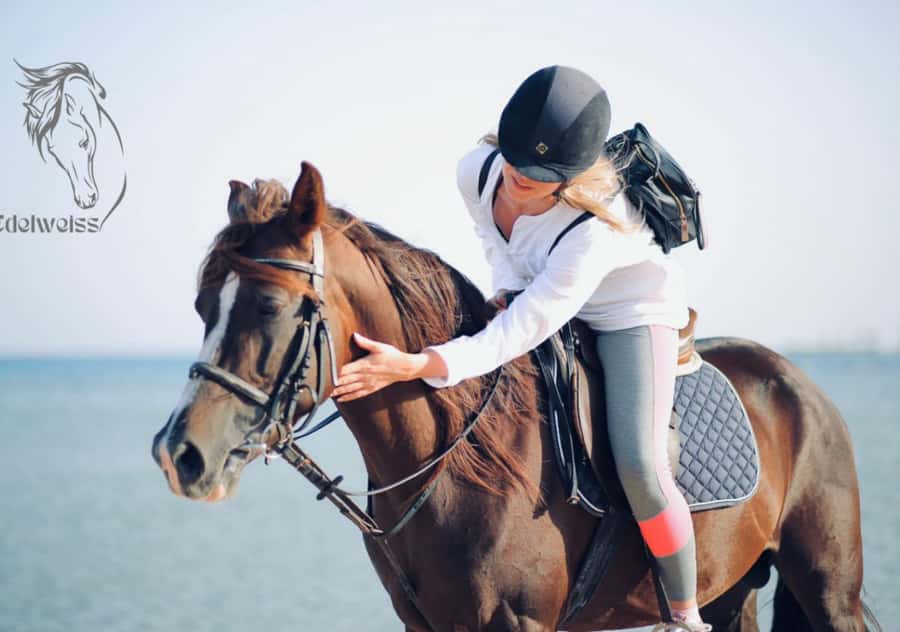 Sharm El Shiekh: Beach and City Desert Horse Riding Tour - Horses and safety, plus the things you can do to feel secure