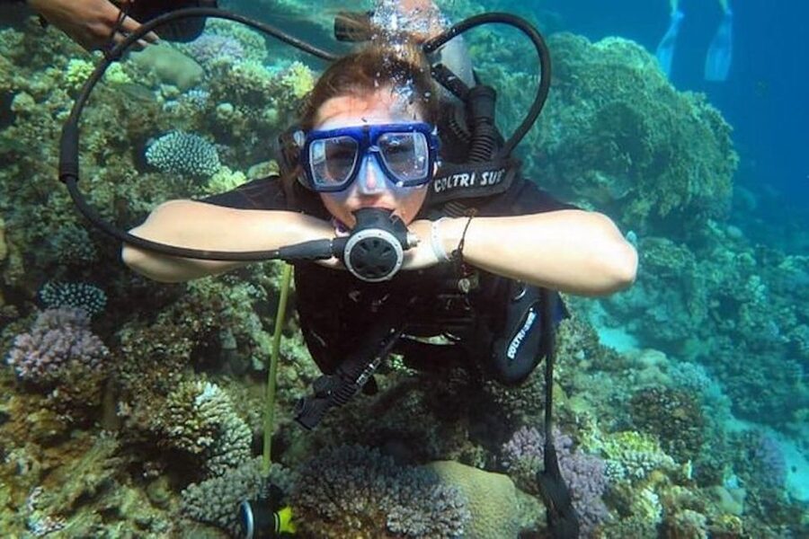 Sharm: Introductory Dive from the Shore & PADI Courses - Why a shore-based first scuba session in Sharm feels easier