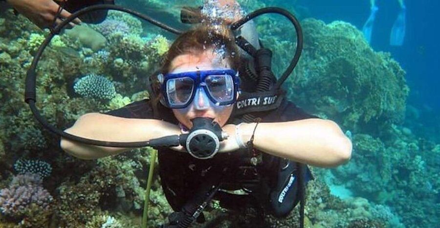 Sharm: Introductory Dive from the Shore & PADI Courses - The instructor setup, languages, and how you should communicate