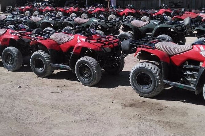 Sharm: Quad Bike or Car Buggy, Camel ride & optional VIP Bedouin Dinner & Show - Bedouin tent and camel ride: photos, short time, and what to plan for
