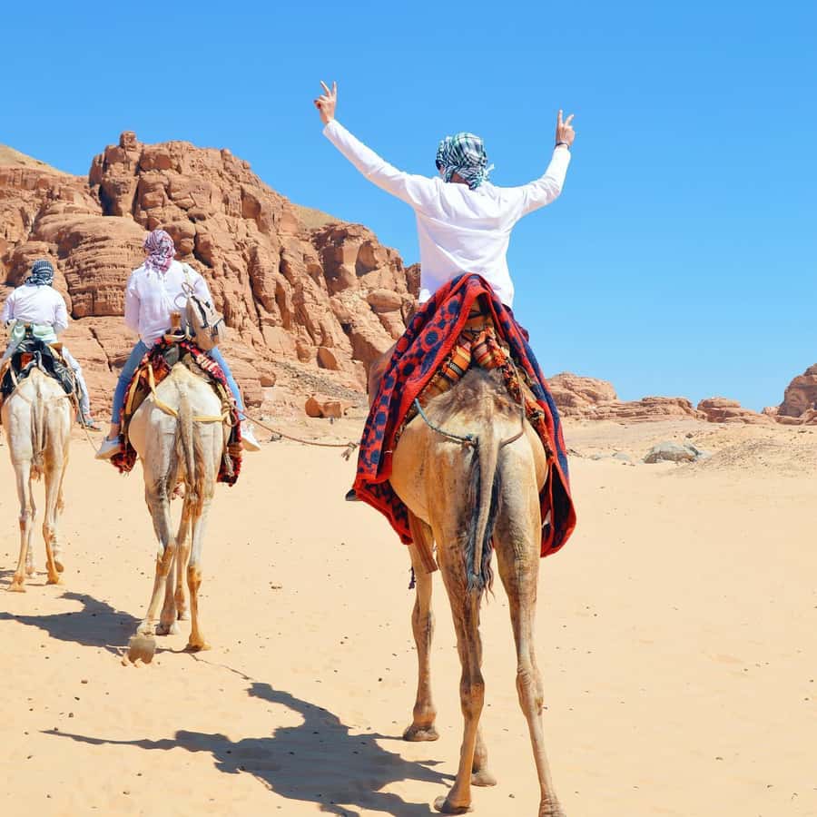 Sharm: Water Sports Adventure Day with Hotel Transfer - Key things to know before you go