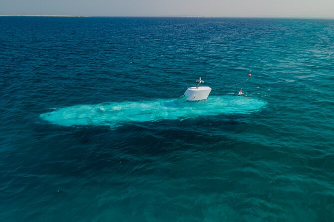 Sindbad Submarines - Hurghada (Egypt) - 2 Hours - Inside Sindbad Submarines: Seats, Rules, And What Feels Comfortable