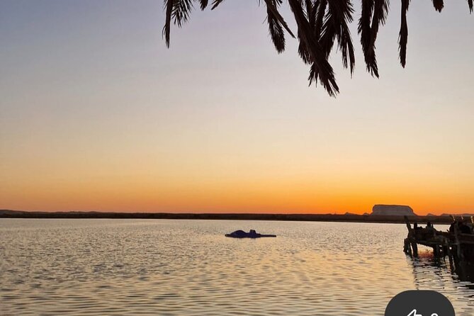 Siwa Oasis All Inclusive Tour From Cairo - Day 1 night under the stars: why the desert camp matters