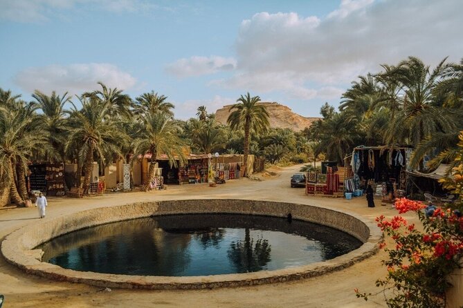 Siwa Oasis private all inclusive from cairo and GIZA - Day 3: A Walking Tour in Siwa, Then Back to Cairo in About 8 Hours