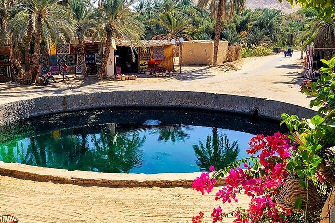 Siwa Oasis Tour All inclusive 3 Days Experience from Cairo&Giza - Day 3: Siwa Market Time, Dates and Olive Oil, Then Back to Cairo