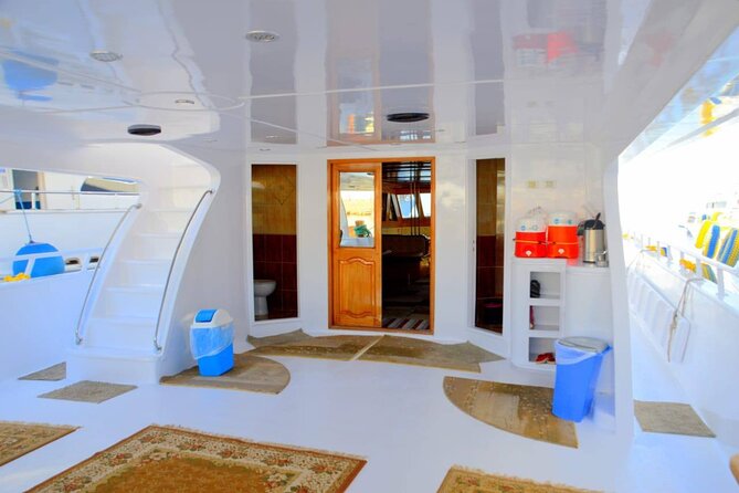 Snorkeling Day Trip To White Island And Ras Mohammed By VIP Boat - Key Highlights You Should Know