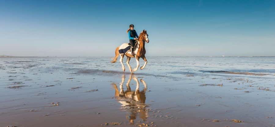 Soma Bay: Horse Riding Beach and Desert Tour With Transfer - Quick hits you will actually care about