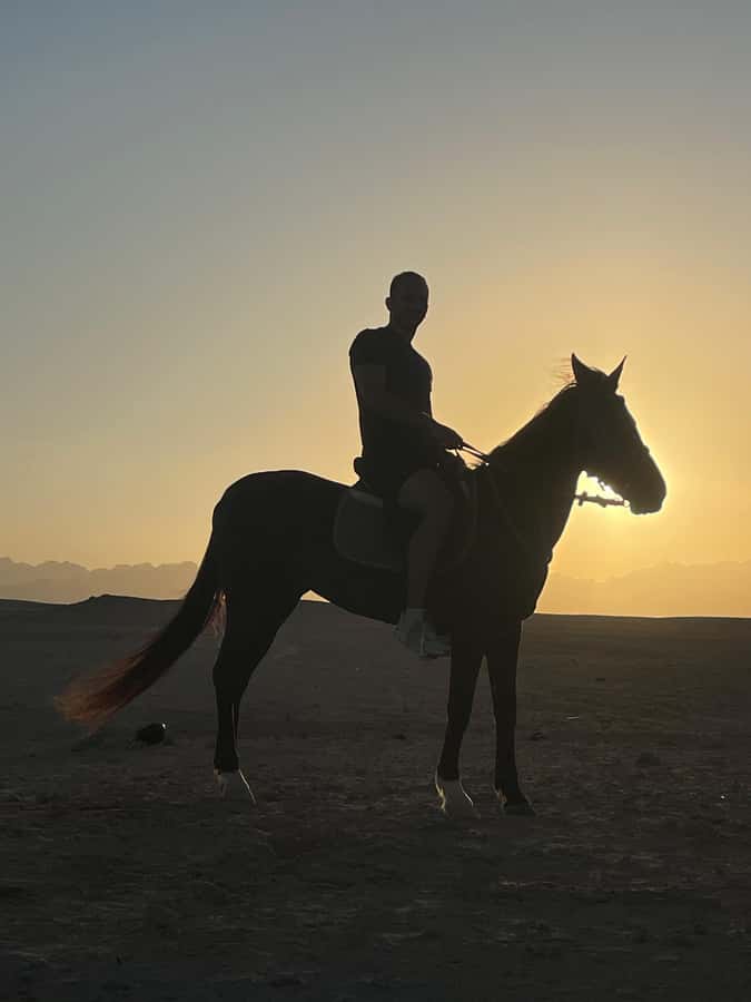 Soma Bay: Horse Riding Beach and Desert Tour With Transfer - Should you book this Soma Bay Horse Riding Beach and Desert Tour?