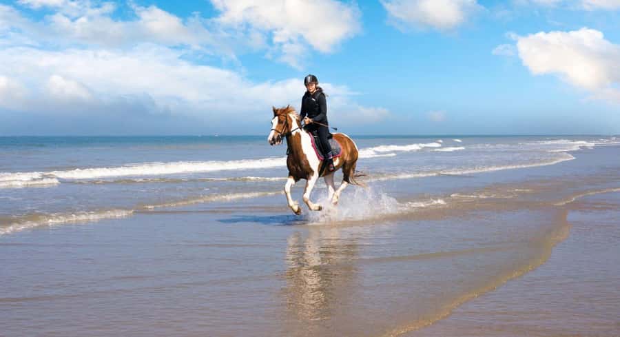 Soma Bay: Horse Riding Beach and Desert Tour With Transfer - Riding Soma Bay in two hours, beach first then desert