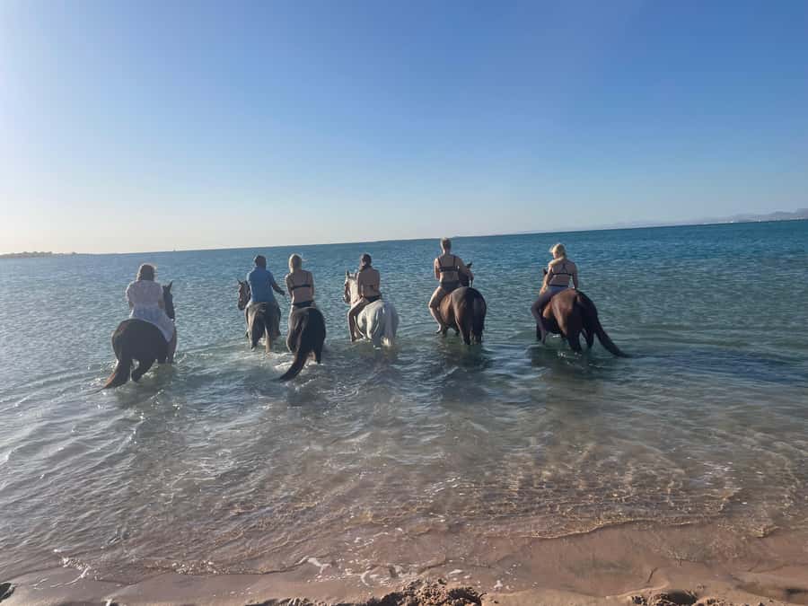 Soma Bay: Horse Riding Beach and Desert Tour With Transfer - Pace, photos, and the guide support that makes it feel easy