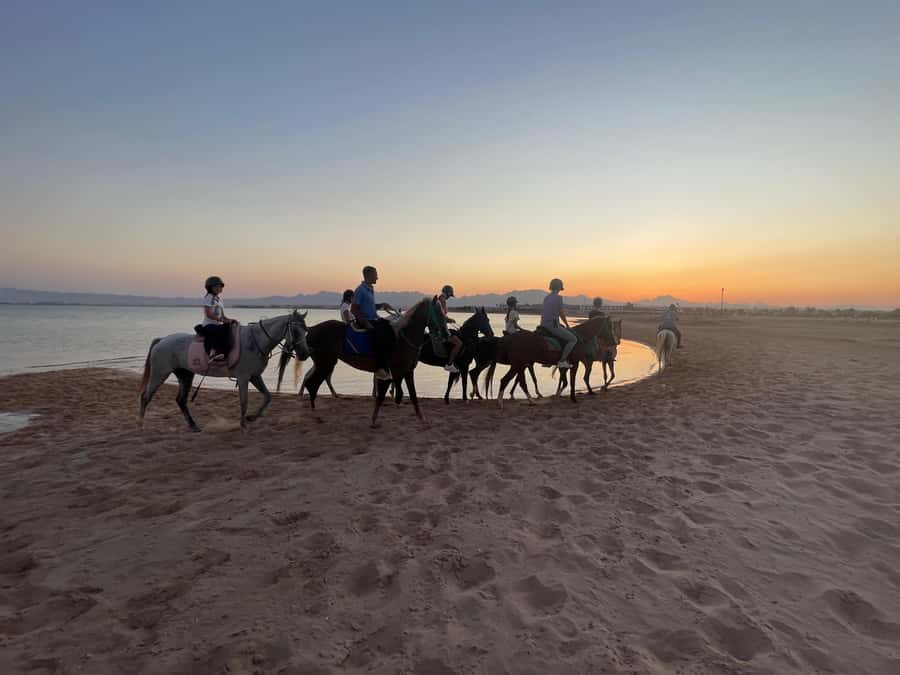 Soma Bay: Horse Riding Beach and Desert Tour With Transfer - What to bring, and what to wear so you enjoy the ride