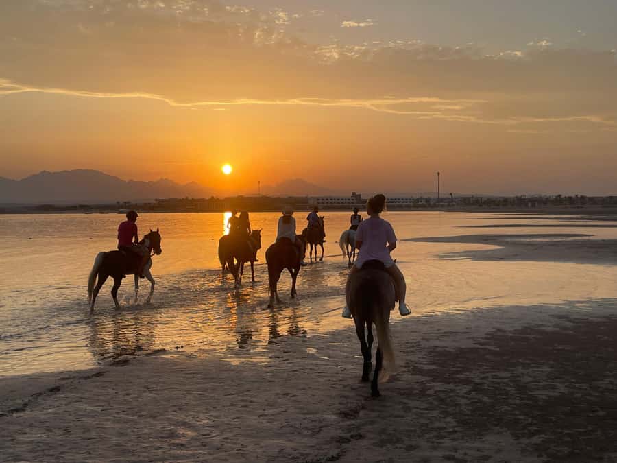 Soma Bay: Horse Riding Beach and Desert Tour With Transfer - Who this Soma Bay tour is best for
