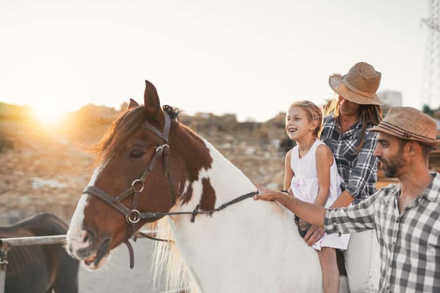 Soma Bay: Horse Riding Beach and Desert Tour With Transfer - Hotel pickup and meeting the equestrian center