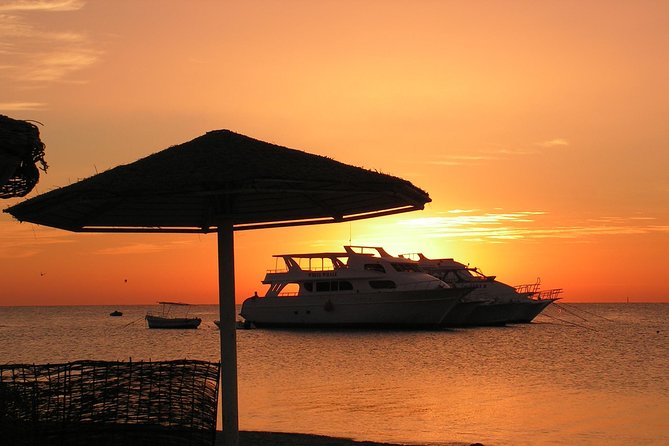 Sorkeling Trip to the White Island & Ras Mohammed - Key Things I’d Pay Attention To