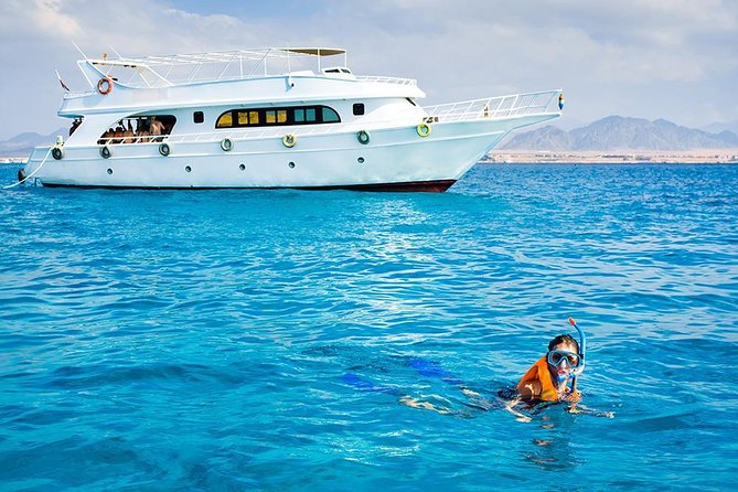Sorkeling Trip to the White Island & Ras Mohammed - Photos and What to Bring Beyond the Usual Sun Kit