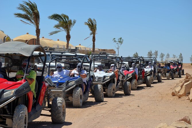 Stargazing Safari Adventure by Jeep with Bedouin Dinner-Hurghada - Why This Hurghada Stargazing Safari Feels Like More Than a Tour