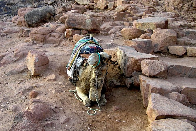 Sunrise at Mt.Sinai and St.Catherine monastery. Entrance included - The climb itself: steep grades, night steps, and real cold