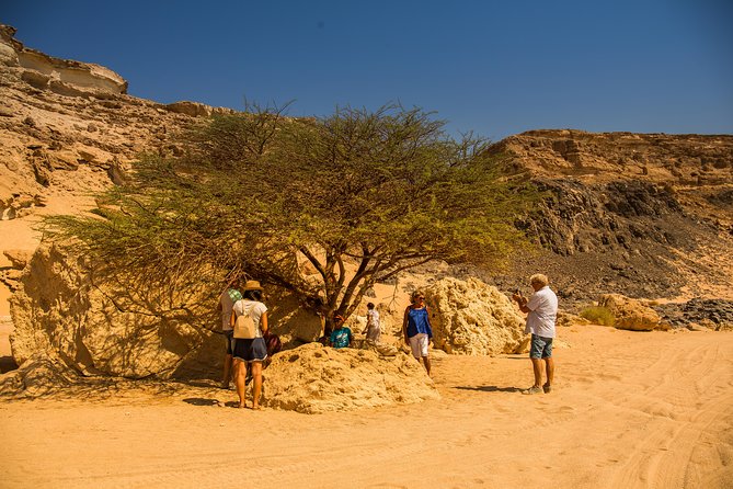 Sunset Oasis Desert Experience in El Gouna and Hurghada - Key things to know before you go