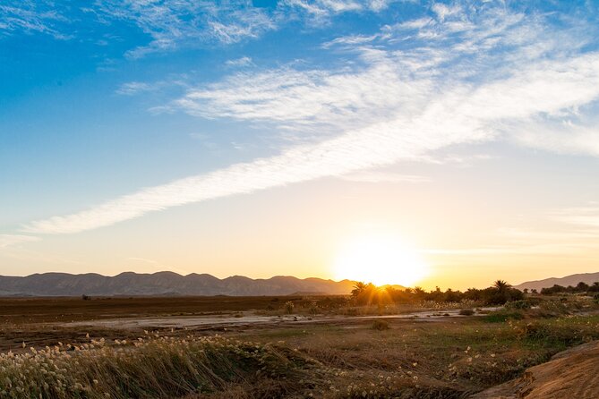 Sunset Oasis Desert Experience in El Gouna and Hurghada - Price and value: is $110.50 a good deal?