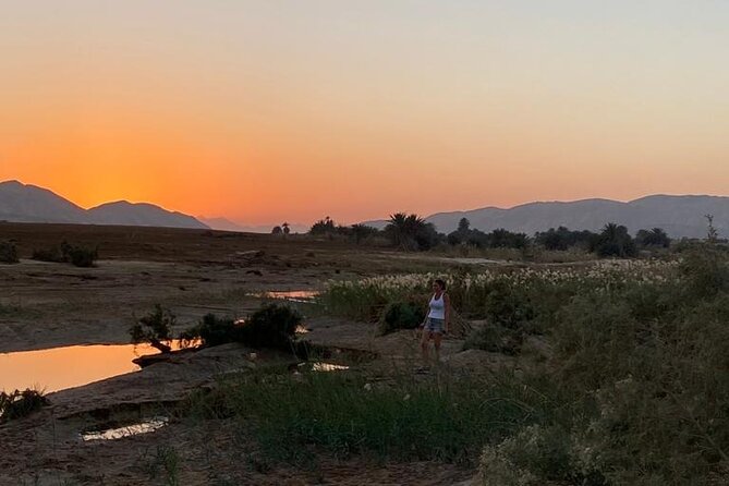 Sunset Oasis Desert Experience in El Gouna and Hurghada - Should you book Sunset Oasis Desert Experience?