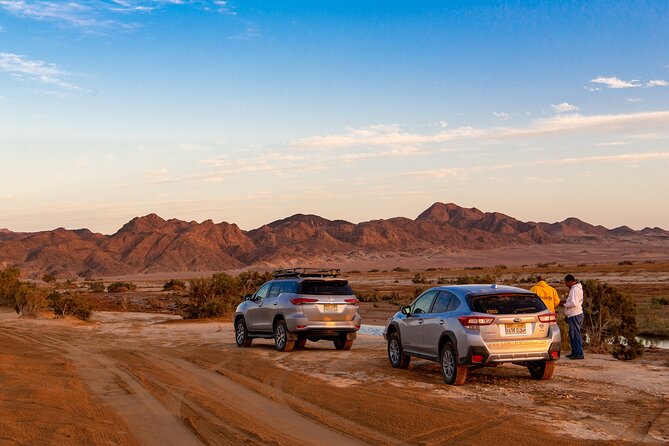 Sunset Oasis Desert Experience in El Gouna and Hurghada - Wadi Belli in the Dry Canyon: corals and shells in the desert