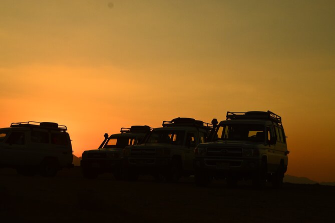 Sunset Safari trip by Jeep - Wadi Billi canyon fossils: where the past shows up in the rocks