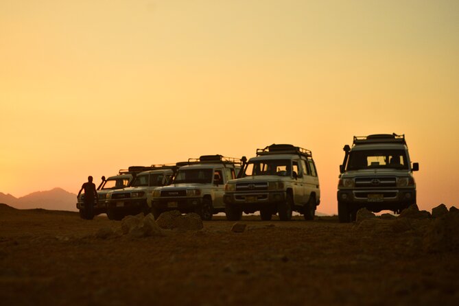 Sunset Safari trip by Jeep - Sunset viewpoint to the return drive, with time built in for the golden hour