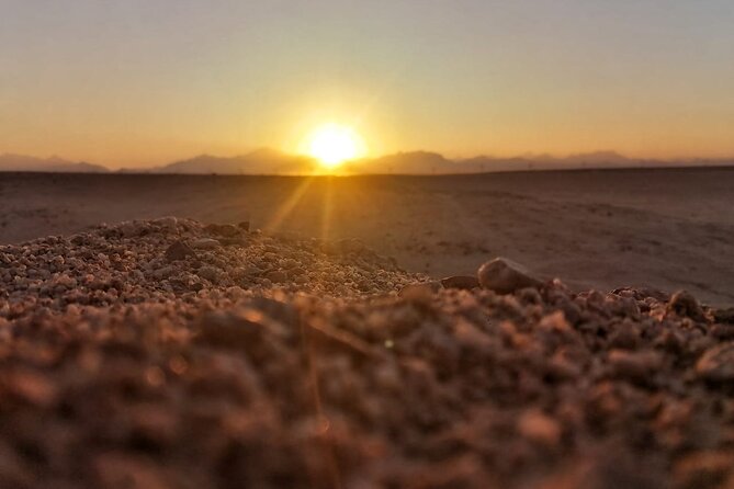 Super Safari ATV, Drive Buggy, Camel Ride, Dinner & Show-Hurghada - Key highlights you should know before you go