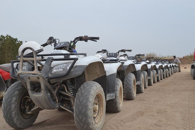 Super Safari ATV, Drive Buggy Car, Camel Ride, Bedouin Dinner, Show-Hurghada - ATV quad biking (about 20 minutes): where the adrenaline actually hits