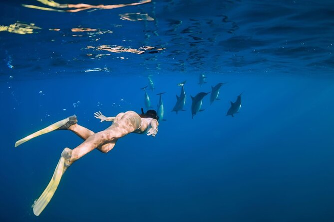 Swimming With Dolphin in Red Sea Adventure with Lunch - Hurgada - Lunch on Board: Seafood Buffet Value and Timing