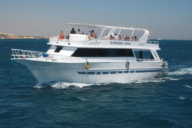 Swimming with Dolphin VIP Snorkeling Sea Trip With Lunch and Transfer - Hurghada - Lunch onboard: real food, real timing, and why it helps