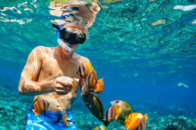 Tiran Island Snorkeling Excursion - What to Bring So You Can Focus on Snorkeling