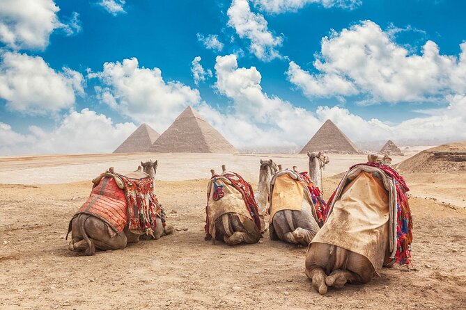 Tour to Cairo and the Pyramids from EL Gouna by A/C Vehicle - Lunch with pyramid or Nile views, and why timing matters