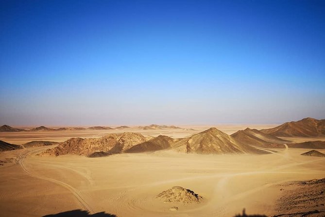 Ultimate Desert Experience - Quad Bikes Across the Sinai Desert at Sunset: The Main Event